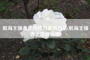 航海王强者之路体力获得方法(航海王强者之路体验服)