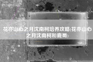 花亦山心之月沈南柯培养攻略(花亦山心之月沈南柯和鹿蜀)