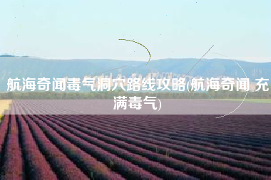 航海奇闻毒气洞穴路线攻略(航海奇闻 充满毒气)