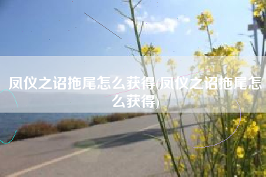凤仪之诏拖尾怎么获得(凤仪之诏拖尾怎么获得)