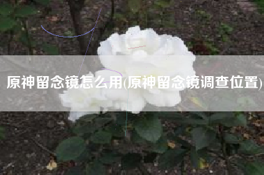 原神留念镜怎么用(原神留念镜调查位置)