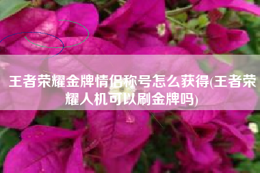 王者荣耀金牌情侣称号怎么获得(王者荣耀人机可以刷金牌吗)