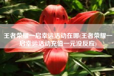 王者荣耀一启幸运活动在哪(王者荣耀一启幸运活动充值一元没反应)