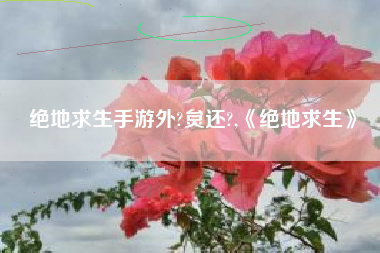 绝地求生手游外?炱还?,《绝地求生》