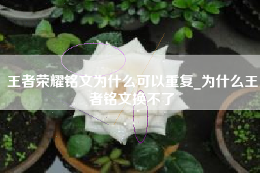 王者荣耀铭文为什么可以重复_为什么王者铭文换不了