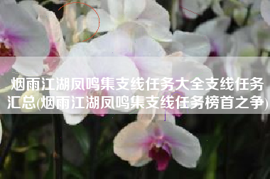 烟雨江湖凤鸣集支线任务大全支线任务汇总(烟雨江湖凤鸣集支线任务榜首之争)