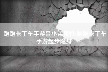 跑跑卡丁车手游鼠小弟属性(跑跑卡丁车手游起步隐身)
