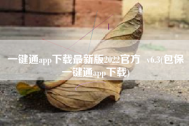 一键通app下载最新版2022官方  v6.3(包保一键通app下载)
