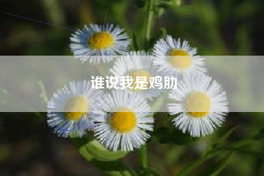 谁说我是鸡肋