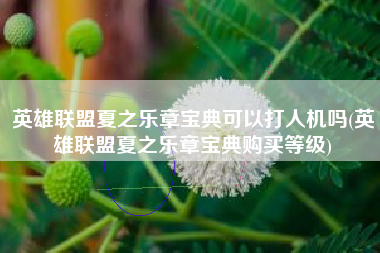 英雄联盟夏之乐章宝典可以打人机吗(英雄联盟夏之乐章宝典购买等级)
