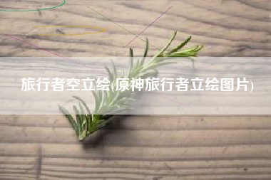 旅行者空立绘(原神旅行者立绘图片)
