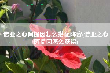 诺亚之心阿提因怎么搭配阵容(诺亚之心阿提因怎么获得)