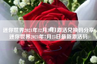 迷你世界2021年12月30日激活兑换码分享(迷你世界2021年7月23日最新激活码)