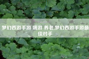 梦幻西游手游 端游 养老,梦幻西游手游最佳对手