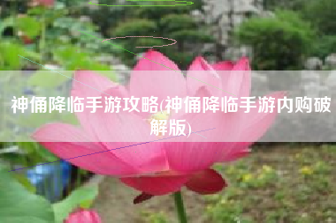 神俑降临手游攻略(神俑降临手游内购破解版)