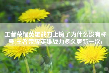 王者荣耀英雄战力上榜了为什么没有称号(王者荣耀英雄战力多久更新一次)