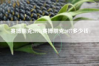 赛博朋克2077(赛博朋克2077多少钱)