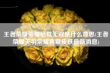 王者荣耀荣耀绝世无双是什么意思(王者荣耀关羽荣耀典藏皮肤最新消息)
