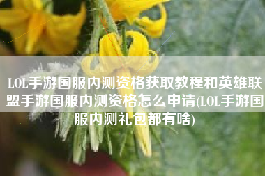 LOL手游国服内测资格获取教程和英雄联盟手游国服内测资格怎么申请(LOL手游国服内测礼包都有啥)