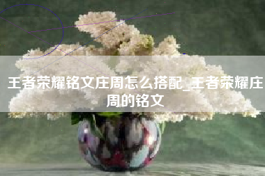王者荣耀铭文庄周怎么搭配_王者荣耀庄周的铭文