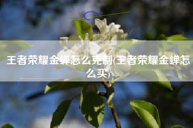 王者荣耀金蝉怎么克制(王者荣耀金蝉怎么买)