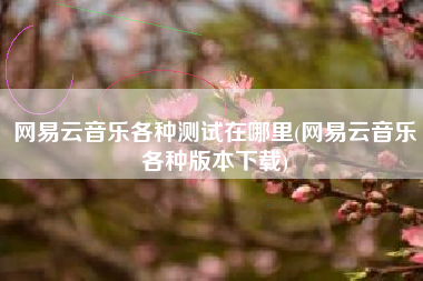 网易云音乐各种测试在哪里(网易云音乐各种版本下载)