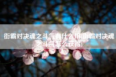 街霸对决魂之斗气有什么用(街霸对决魂之斗气怎么获得)