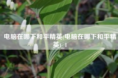 电脑在哪下和平精英(电脑在哪下和平精英)_1