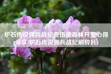 炉石传说佣兵战纪费伍德森林开荒心得分享(炉石传说佣兵战纪刷碎片)