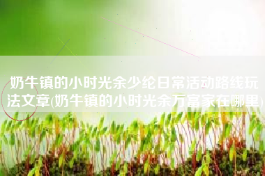 奶牛镇的小时光余少纶日常活动路线玩法文章(奶牛镇的小时光余万富家在哪里)