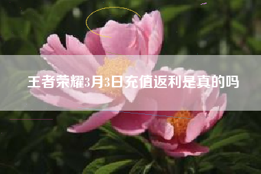 王者荣耀3月3日充值返利是真的吗