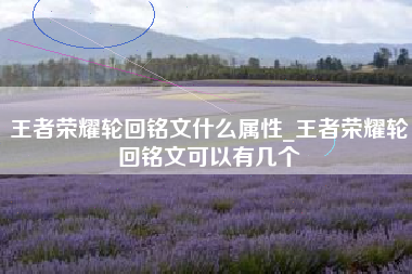 王者荣耀轮回铭文什么属性_王者荣耀轮回铭文可以有几个