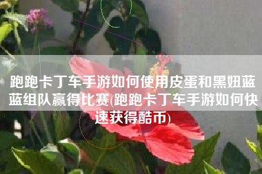 跑跑卡丁车手游如何使用皮蛋和黑妞蓝蓝组队赢得比赛(跑跑卡丁车手游如何快速获得酷币)
