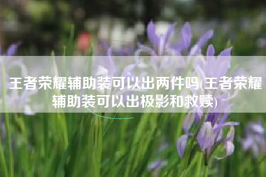 王者荣耀辅助装可以出两件吗(王者荣耀辅助装可以出极影和救赎)