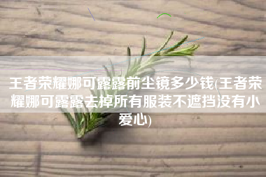王者荣耀娜可露露前尘镜多少钱(王者荣耀娜可露露去掉所有服装不遮挡没有小爱心)