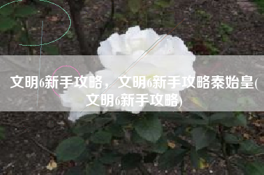 文明6新手攻略，文明6新手攻略秦始皇(文明6新手攻略)