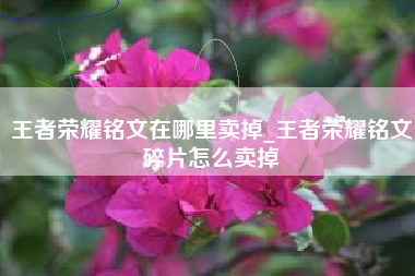 王者荣耀铭文在哪里卖掉_王者荣耀铭文碎片怎么卖掉