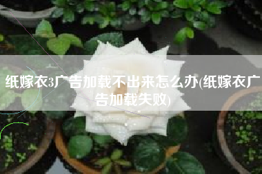 纸嫁衣3广告加载不出来怎么办(纸嫁衣广告加载失败)
