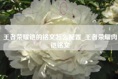 王者荣耀铠的铭文怎么配置_王者荣耀肉铠铭文