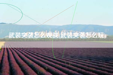 武装突袭怎么观战(武装突袭怎么玩)