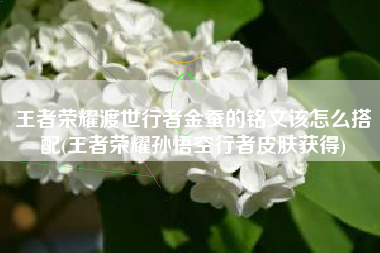王者荣耀渡世行者金蚕的铭文该怎么搭配(王者荣耀孙悟空行者皮肤获得)