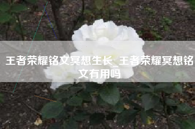 王者荣耀铭文冥想生长_王者荣耀冥想铭文有用吗