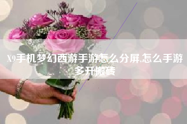X9手机梦幻西游手游怎么分屏,怎么手游多开搬砖