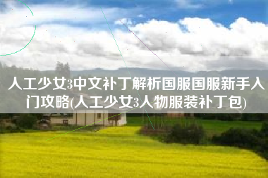 人工少女3中文补丁解析国服国服新手入门攻略(人工少女3人物服装补丁包)