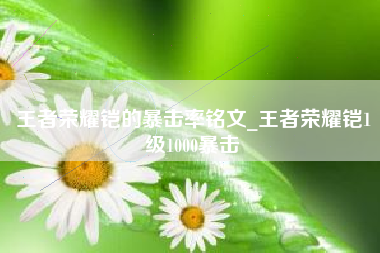 王者荣耀铠的暴击率铭文_王者荣耀铠1级1000暴击