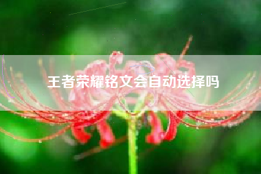 王者荣耀铭文会自动选择吗