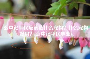 玄中记平民应该选什么宠物？什么宠物好用？(玄中记平民职业)