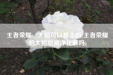 王者荣耀暃大招可以暴击吗(王者荣耀暃的大招能被净化解吗)
