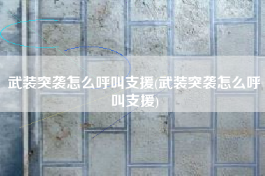 武装突袭怎么呼叫支援(武装突袭怎么呼叫支援)