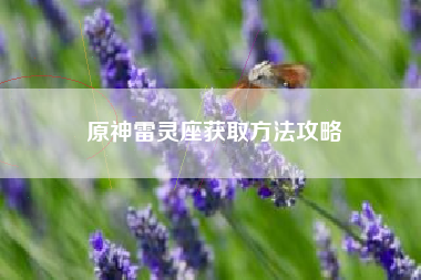 原神雷灵座获取方法攻略